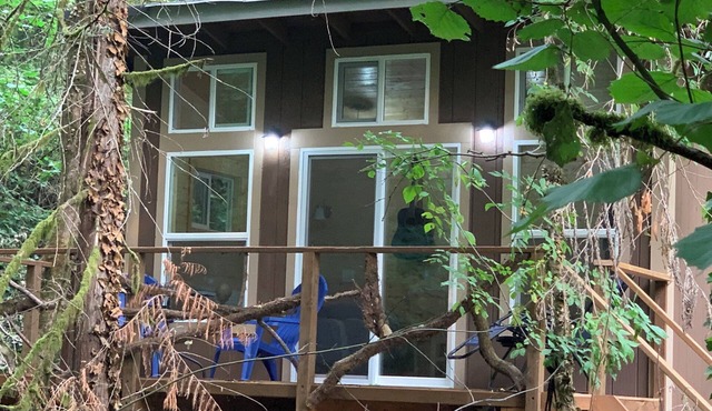 Sasquatch's Tiny Treehouse on creek - old growth forest in Portland - ADVENTURE!