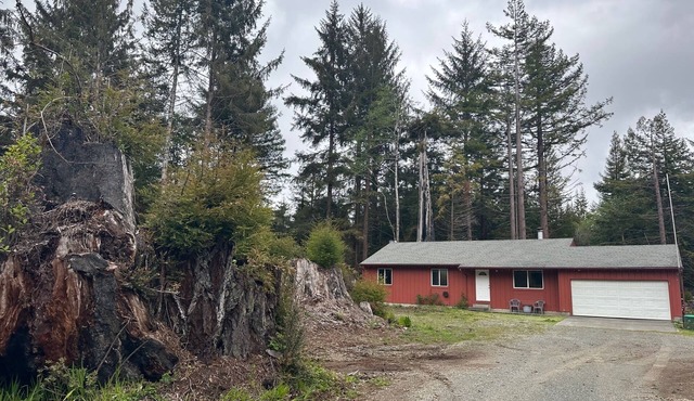 Sasquatch Sanctuary