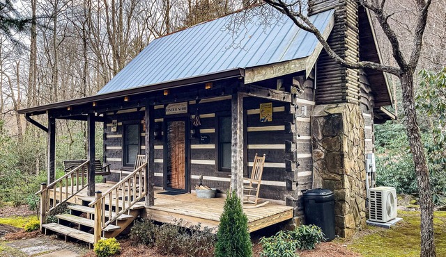 Sassafras Rock on Betty's Creek - 1BR Cabin + Open Sleeping Loft