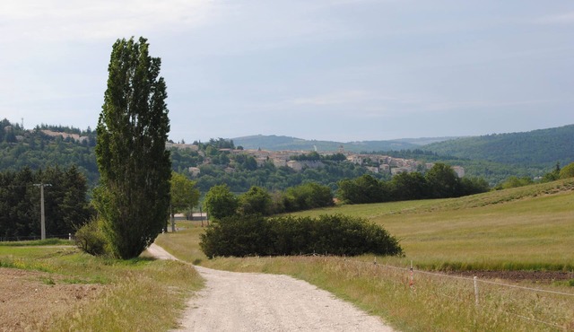 Sault Cottage in the countryside