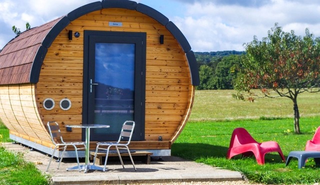 Sauvignon, Domaine de Joseph Lafarge