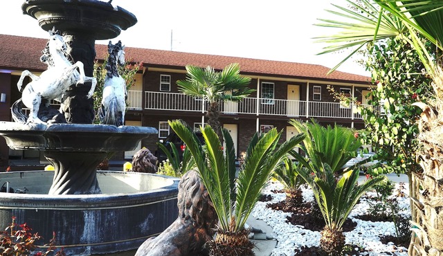 Savannah Inn and Suites