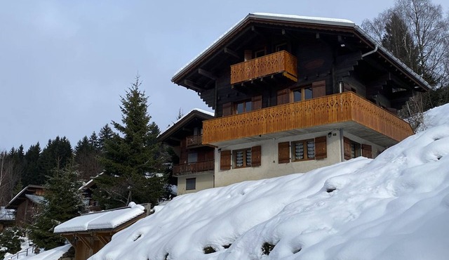 Savoyard Chalet with WIFI, near ski slopes