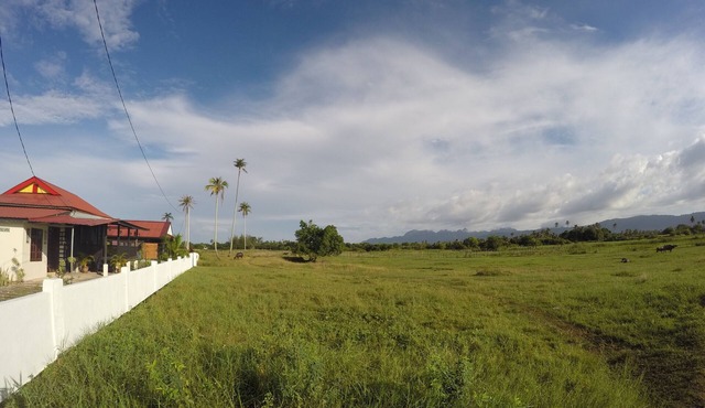 Sawah Padi Villa - Rice Paddy Field Views