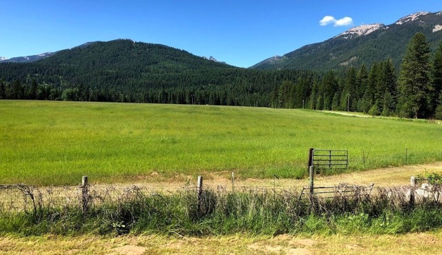 Sawtooth View