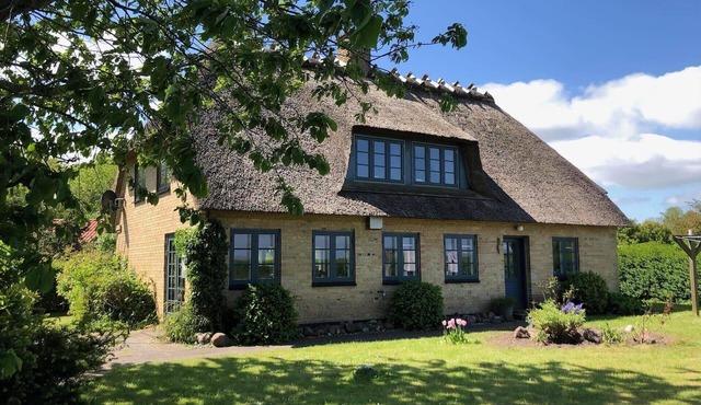 SB50639 Augustenborg - Græskobbel 8