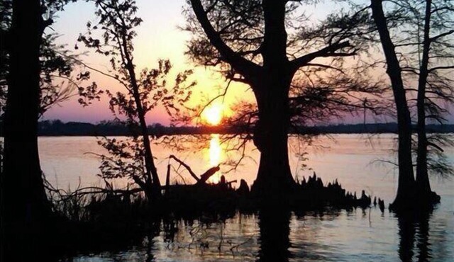 Scales And Ducktails Rentals. Your Hunter And Fisherman Home Away From Home.