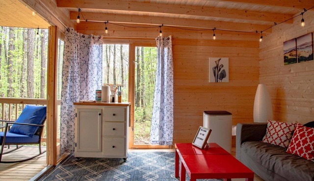 Scandinavian Cabin at Getaway on Ranger Creek