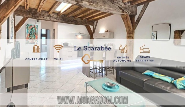 Scarabée Bleu - Functional - Comfort - Mo Groom
