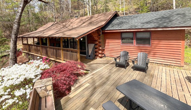 Scenic cabins with fireplaces, children's items, W/D - dog-friendly