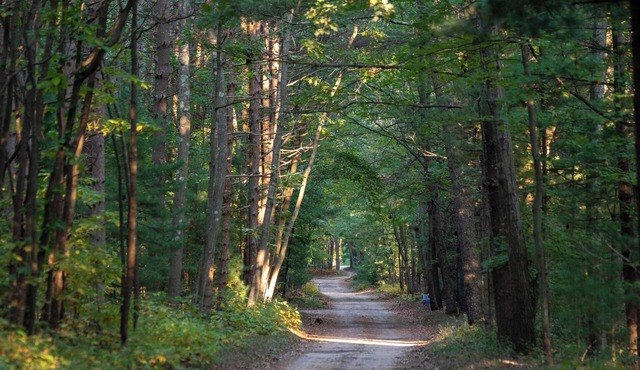 Scenic Drive Resort - Cabin #6