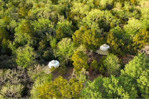 Scenic Glamping Tent Stay with Cozy Lounge Space in Smithville, Texas