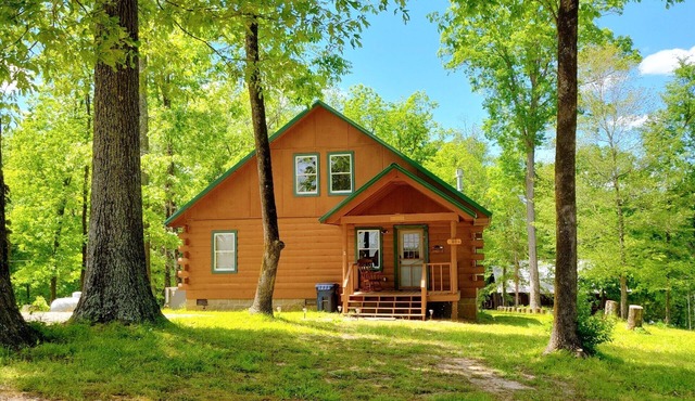Scenic Hilltop Cabin on TN River w Firepit, Grill, WIFI, Full Kitchen, H2O views