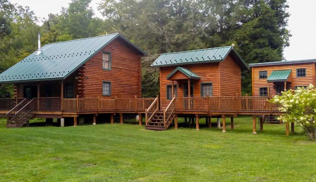 Scenic Log Cabin with Fire Pit and Stocked Creek!