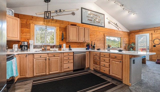Scenic Mountain Cabin in Idaho Springs