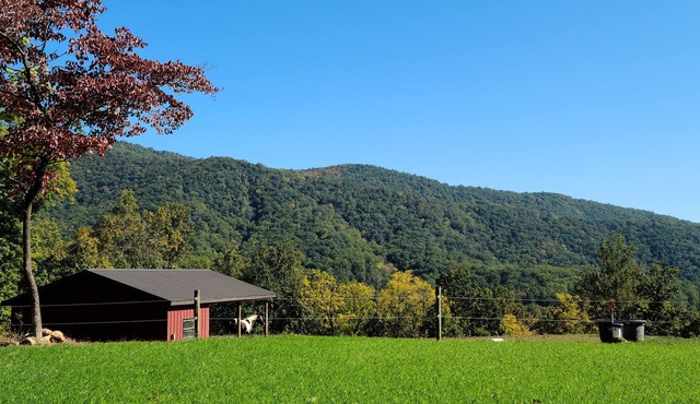 Scenic mountain getaway with a firepit and amazing views of mountains and horses