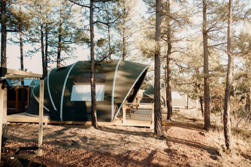 Scenic Mountain Yurt with Queen Bunks