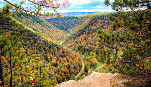 Scenic Ridge Haven | Firepit, Trails & Views