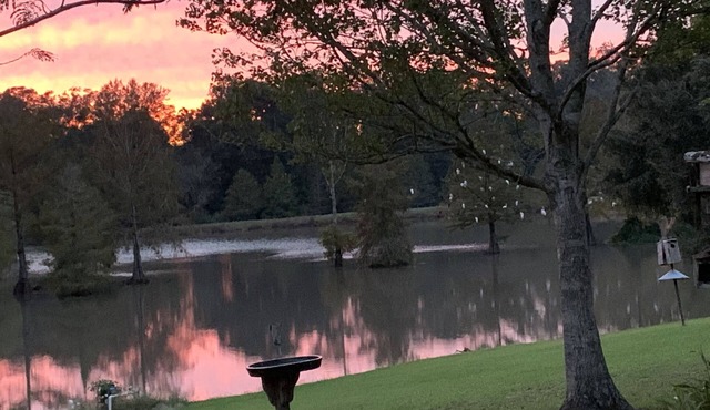 Scenic, upscale country living minutes from I-10 & I-49, & downtown Lafayette.,