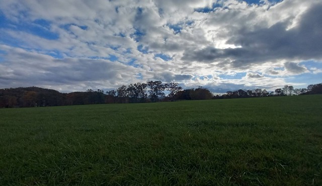 Scenic View - this farm has it all!