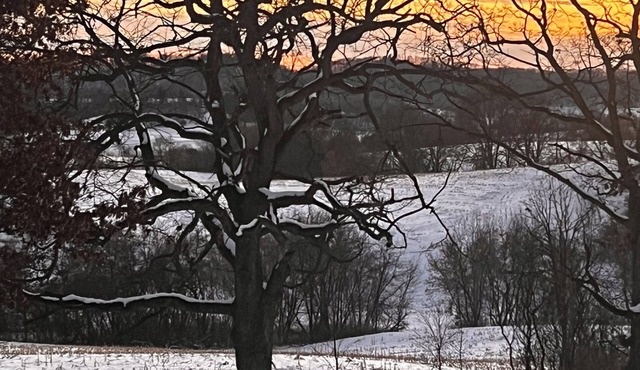 Scenic views on 20 acres! The Family Cabin awaits. Sleeps 10