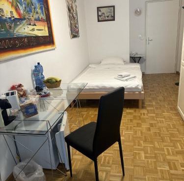 Schönes Zimmer in der City Basel