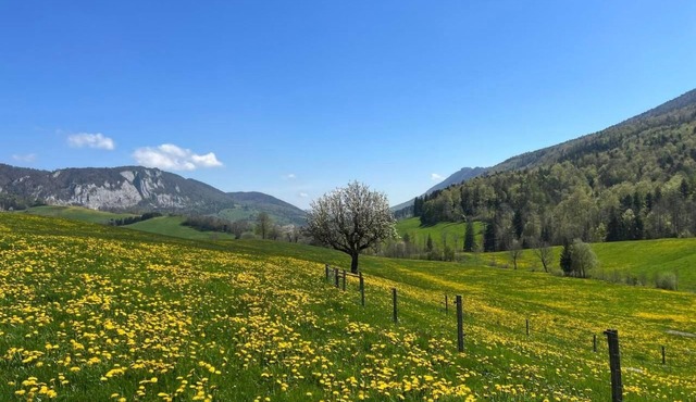 Schafmatthof 1 Obergeschoss by Interhome