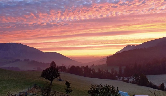 Schafmatthof Dachwohnung by Interhome