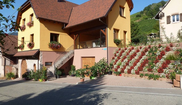 Schieferberg in the heart of the vineyards