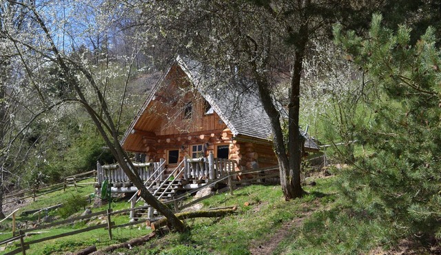 Schlittor's chalet entirely made of logs