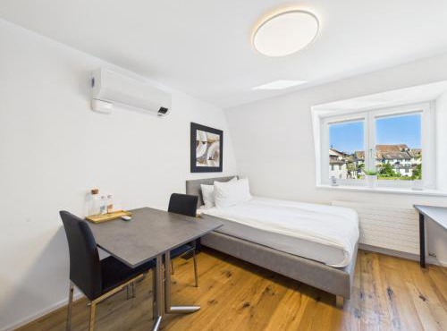 SCHNYDER'S HOME - Studio 1