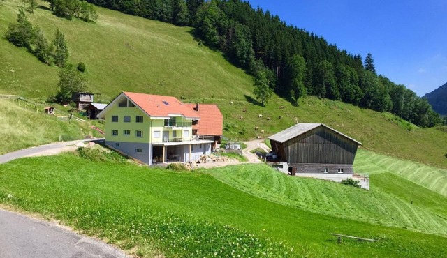 Schwändelifluh by Interhome