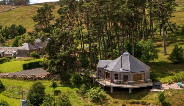 Scots Pine Treehouse - a treehouse that sleeps 2 guests in 0 bedrooms