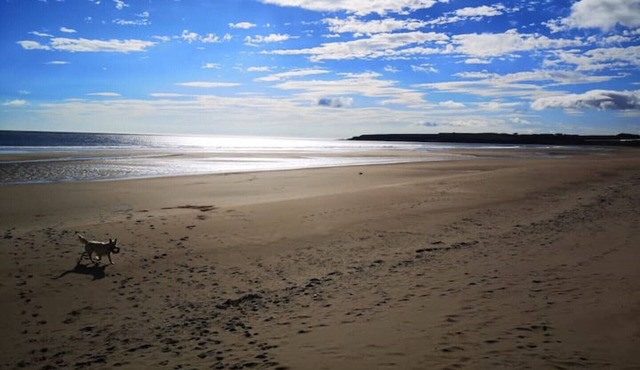 Scottish Countryside Bothy - Nearby Lunan Bay