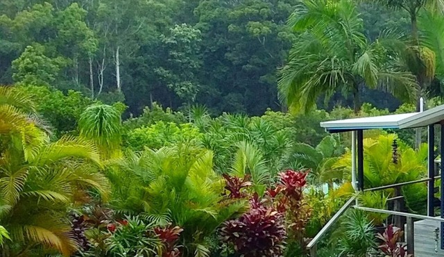 Scotts Head Retreat - Secluded Property