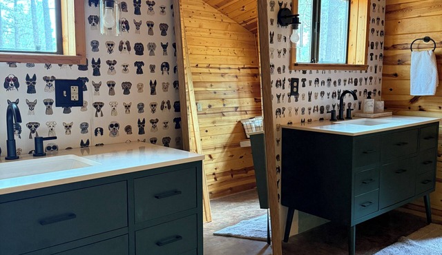 “Scout’s House” cabin on 2 acres nDog Friendly!