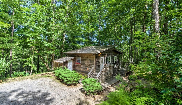 Screened Porch: ‘The Coop’ Robbinsville Cabin!
