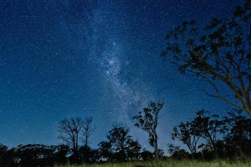 Scribbly Farm, Boutique Southern Highlands Accommodation