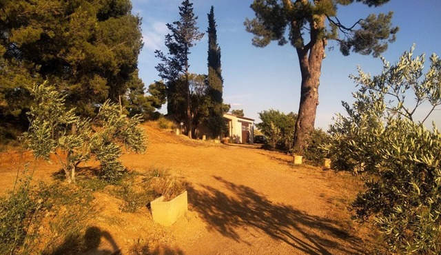 Se Ressourcer au Cœur D'un mas Oléicole