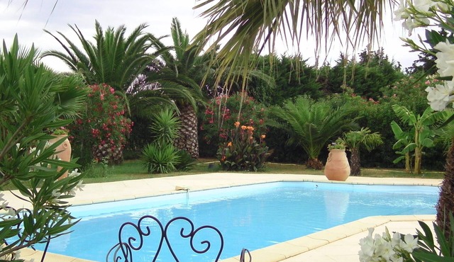 SEA AND COUNTRYSIDE UNDER THE CÔTE D'AZUR SUN