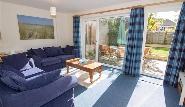 Sea Aster, Brancaster Staithe, Norfolk