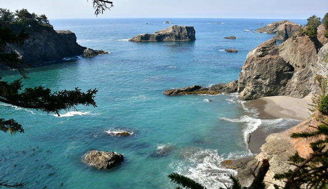 Sea Breeze Artist Bungalow (Bigfoot doesn’t live here)