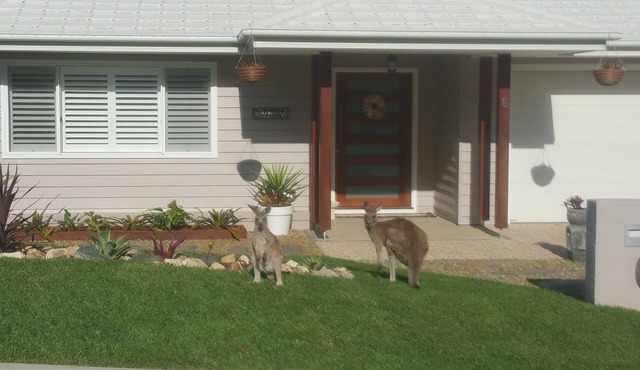 Sea Breeze Safety Beach B&B - N.S.W.