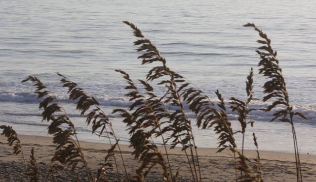Sea Breezes North - Just Steps To The Beach!