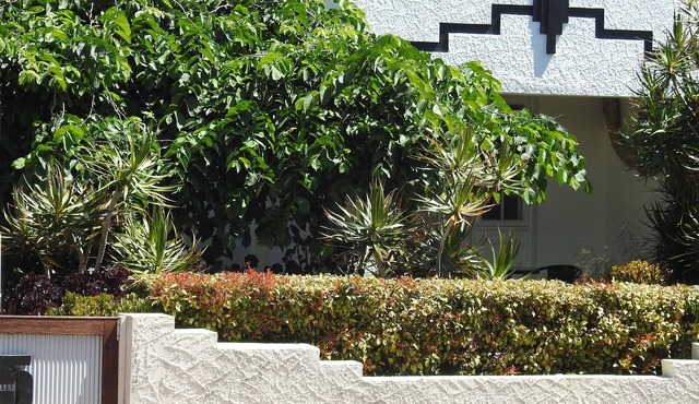 Sea Change @ Brightonn2 min walk to beautiful Brighton Beach or Jetty Rd cafes