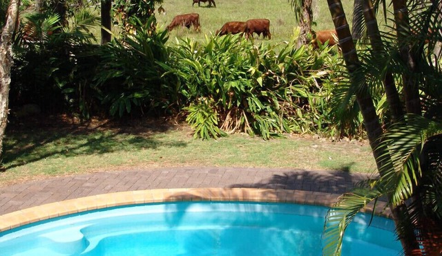 Sea-Chelles Near The Beach