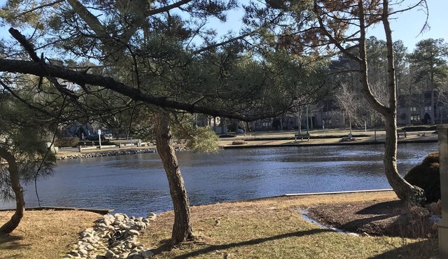 Sea Colony, Lakefront, 2 BR + Loft, walk to beach, shops & restaurant