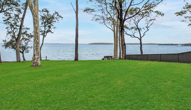 Sea Eagle by Experience Jervis Bay