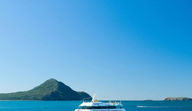 Sea Haven Furry Friends Welcome