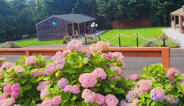 Sea Haven Resort Motel